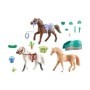 Set trei cai cu accesorii
